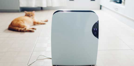 Why Should You Buy An Air Purifier For Kitchen Smells