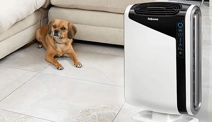 Why Should You Buy An Air Purifier To Remove Odors