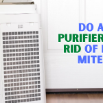 Do Air Purifiers Get Rid of Dust Mites