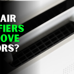 Do Air Purifiers Remove Odors