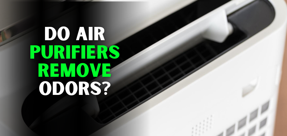 Do Air Purifiers Remove Odors