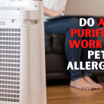 Do Air Purifiers Work for Pet Allergies