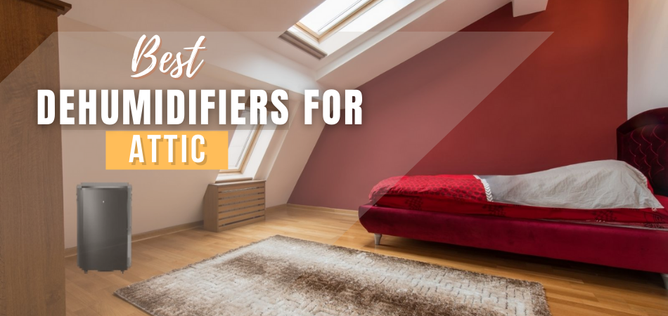 Best Dehumidifiers for Attic