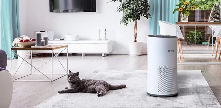 Why Should You Buy An Air Purifier For Odor Elimination