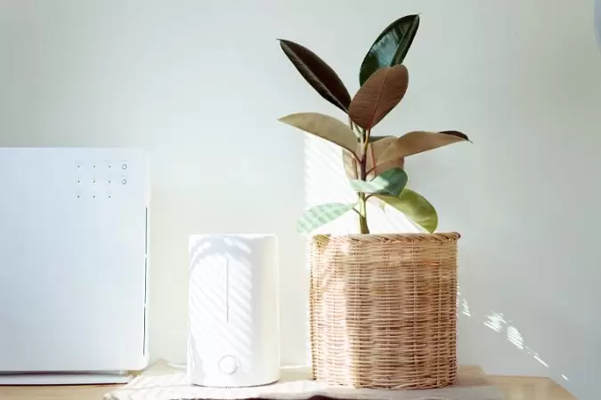 Are Air Purifiers Bad for Your Health?